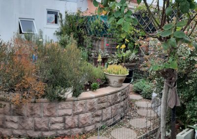 garden in autumn
